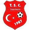 Steinheim-tsc